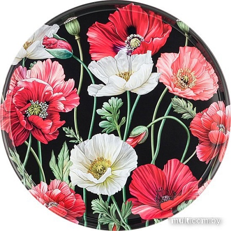 Поднос Agness 898-012