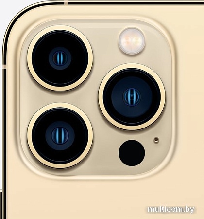 Смартфон Apple iPhone 13 Pro Max 256GB Восстановленный by Breezy, грейд A (золотистый)
