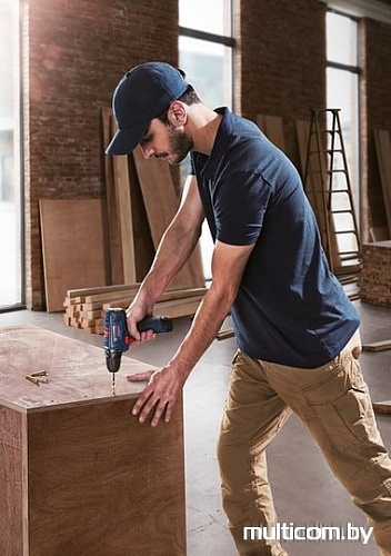 Дрель-шуруповерт Bosch GSR 120-LI Plus GLI 12V-300 Professional (с 2-мя АКБ)