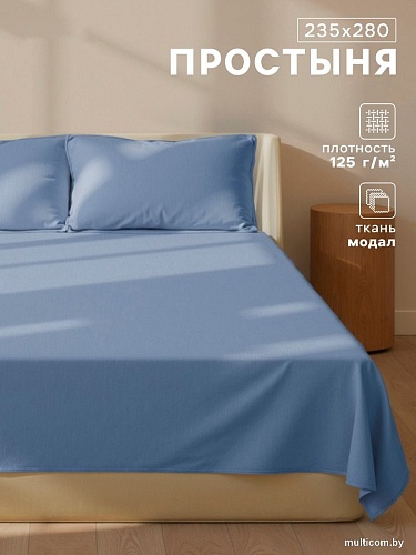 Постельное белье Sima-Land Modal 10518582 (синий)