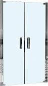 Душевая дверь WeltWasser WW600 600K2-90