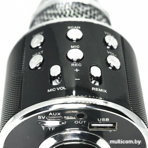 Микрофон Wise WS-858 (черный)