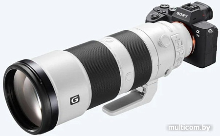 Объектив Sony FE 200–600 мм f/5.6–6.3 G OSS