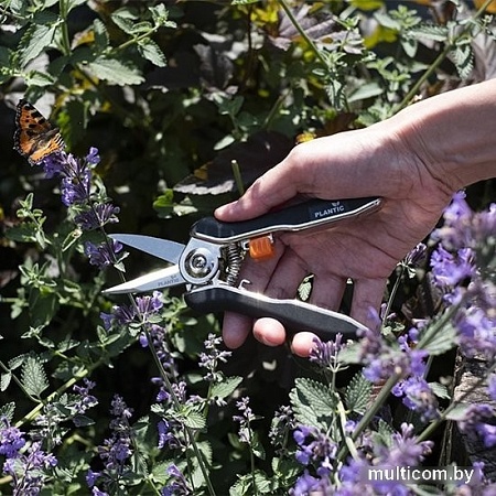 Ножницы для флористики Plantic 35306-01