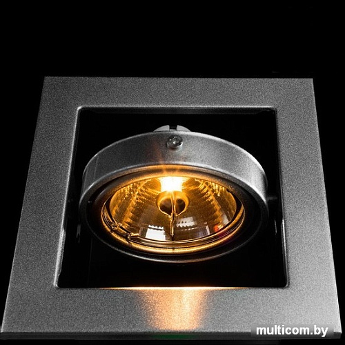 Точечный светильник Arte Lamp Cardani A5930PL-1SI