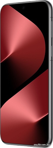 Телефон Huawei Pura 80 Pro LMR-LX9 12GB/512GB (черный)