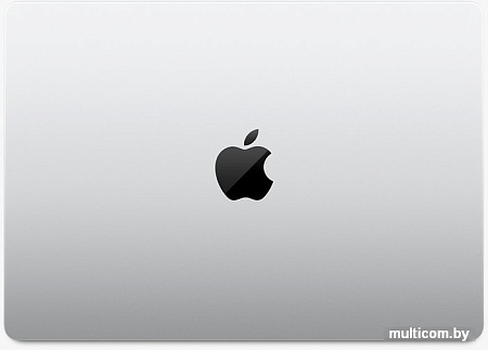 Ноутбук Apple Macbook Pro 14" M1 Pro 2021 MKGR3