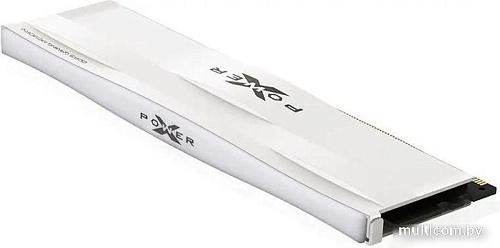 Оперативная память Silicon-Power XPower Zenith 32ГБ DDR5 6000 МГц SP032GXLWU600FSG
