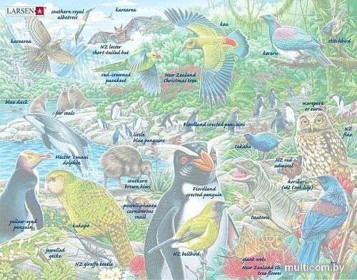 Пазл Larsen Животные Новой Зеландии FH44