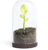 Емкость Qualy Sprout Jar QL10205-BN