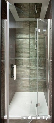 Душевая дверь Omnires Manhattan ADP13X LUX-T