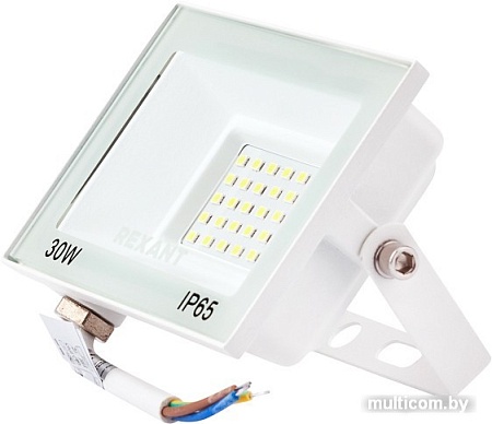 Уличный прожектор Rexant 605-025