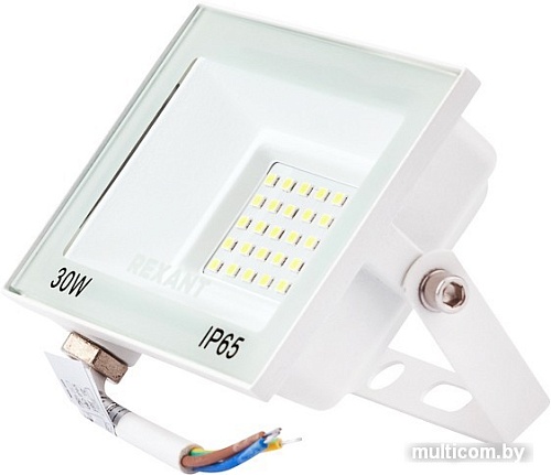 Уличный прожектор Rexant 605-025