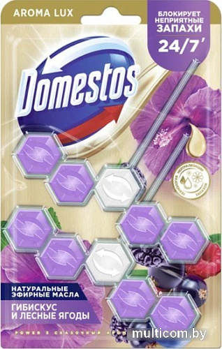 Средство для унитаза Domestos Power 5 Сказочный аромат Дуо 2x50 г