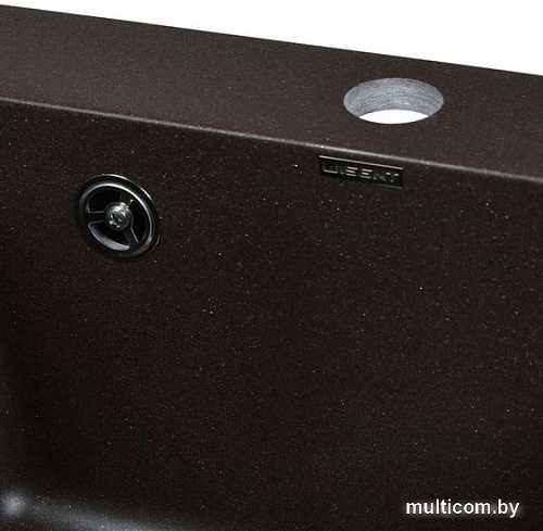 Кухонная мойка Wisent 420-27W (с сифоном GER013)