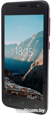 Смартфон BQ-Mobile BQ-4501G Fox Easy (розовое золото)