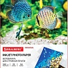 Фотобумага BRAUBERG глянцевая А4 260 г/м2 50 л 363992