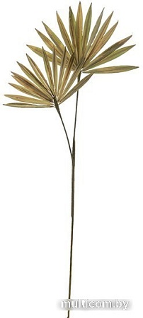 Искусственное растение Вещицы Пальмовая ветка aj-203