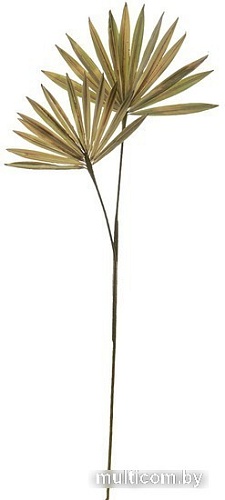 Искусственное растение Вещицы Пальмовая ветка aj-203