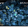 OLED телевизор Sony Bravia A80L XR-55A80L