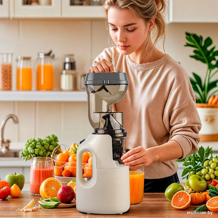 Соковыжималка VLK Profi-3300