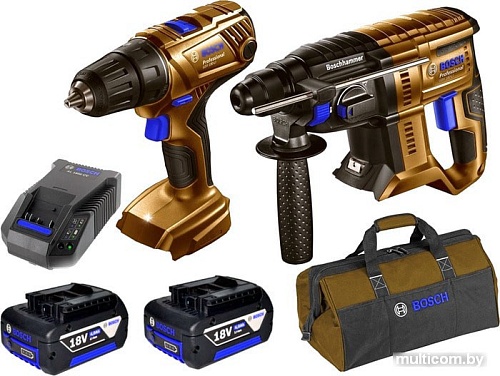 Перфоратор Bosch GBH 180-LI Professional 06019F8102 (с 2-мя АКБ, кейс)