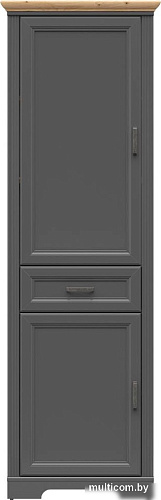 Шкаф распашной BRW Jasmin REG2D1S (графит/дуб артизан)