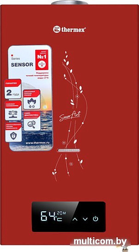 Газовая колонка Thermex S 20 MD (Art Red)