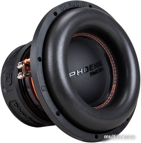 Головка сабвуфера DL Audio Phoenix Black Bass 10