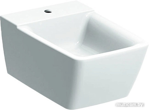 Биде Geberit Xeno 2 500.501.01.1