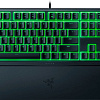 Клавиатура Razer Ornata V3 X (нет кириллицы)