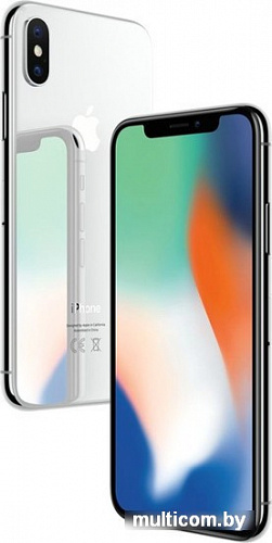 Смартфон Apple iPhone X 64GB (серебристый)
