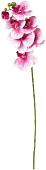 Искусственный цветок Forgarden Орхидея BN10771 (розовый)