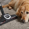 Пылесос Miele Complete C3 Cat &amp; Dog Flex SGEF5 (оранжевый)