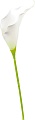 Искусственный цветок Forgarden Калла BN10768 (белый)