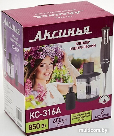 Погружной блендер Аксинья КС-316А (черный)