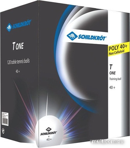 Мяч для настольного тенниса Donic Schildkrot 1T-Training (1 звезда, 120 шт.)