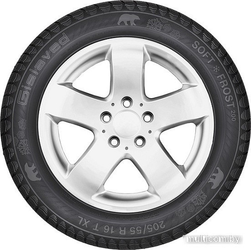 Автомобильные шины Gislaved Soft*Frost 200 SUV 235/60R18 107T