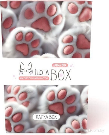 Подарочный набор Milota Box Лапка Box Mini MBS038