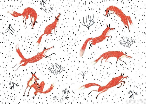 Книга издательства Самокат. Хвост Авроры (Лахтинен Александра)