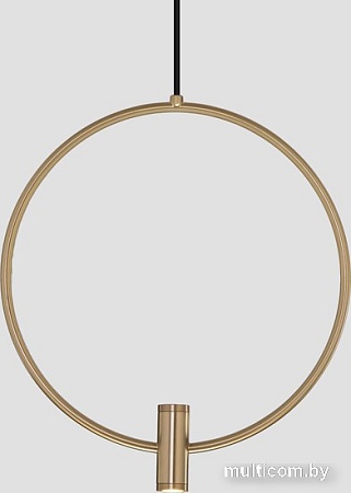 Подвесная люстра Евросвет 50257/3 LED черный/ латунь