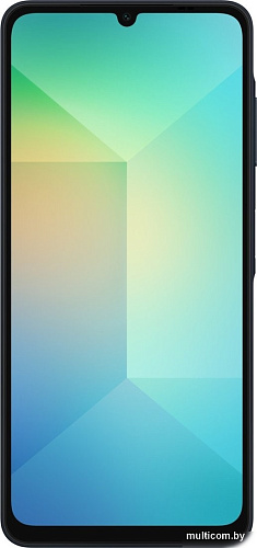 Смартфон Samsung Galaxy A06 SM-A065F 4GB/64GB (черный)
