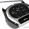 Портативная аудиосистема Ritmix RBB-010