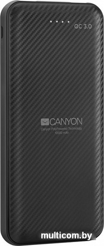 Портативное зарядное устройство Canyon CNE-TPBQ10B