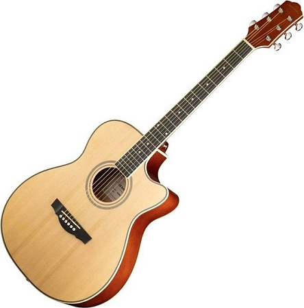 Акустическая гитара Naranda TG220CNA