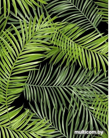 Фотообои Citydecor Тропические листья с защитным покрытием 200x254