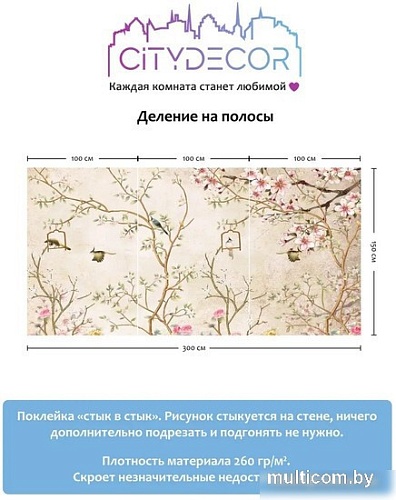 Фотообои Citydecor Абстракция 60 300x150