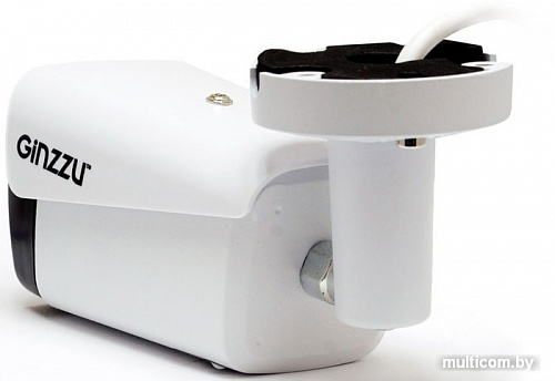 IP-камера Ginzzu HIB-5303A
