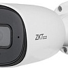 IP-камера ZKTeco BL-854N38S-S7