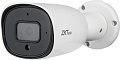 IP-камера ZKTeco BL-854N38S-S7